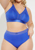 Sheer Trimmed Micro Briefs, Bluing image number 2