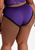 Microfiber & Lace Hipster Panty, Acai image number 2