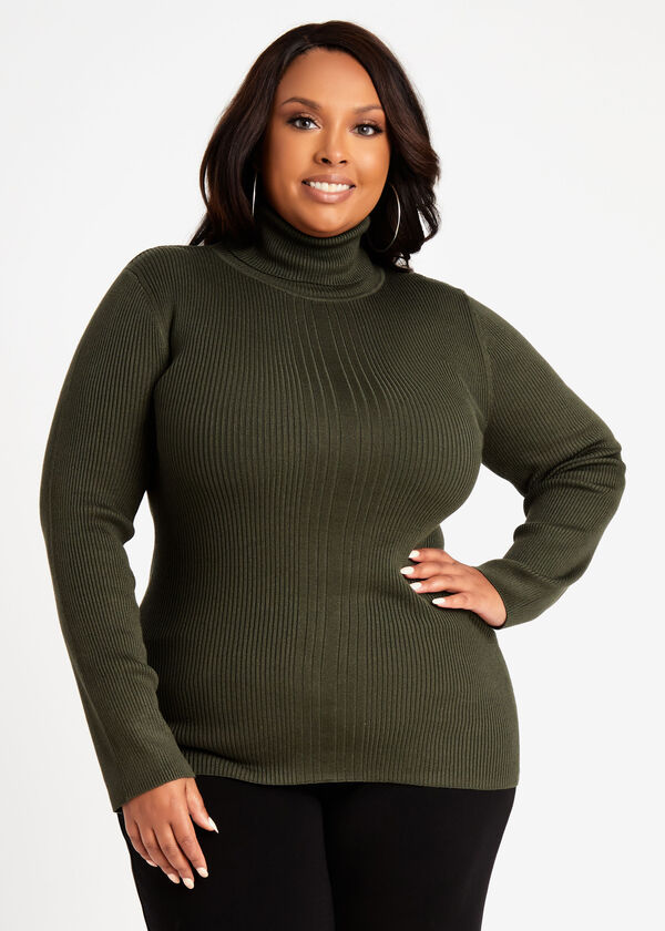 Plus Size Classic Stretch Ribbed Knit Fitted Turtleneck Sweater
