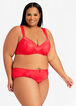 Microfiber Lace Trim Hipster Panty, Red image number 3