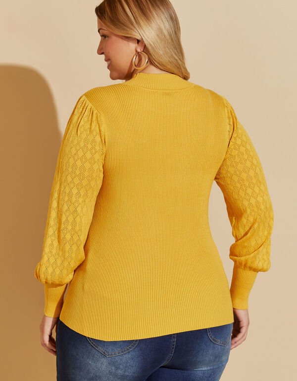 Crochet Paneled Sweater, Spicy Mustard image number 1