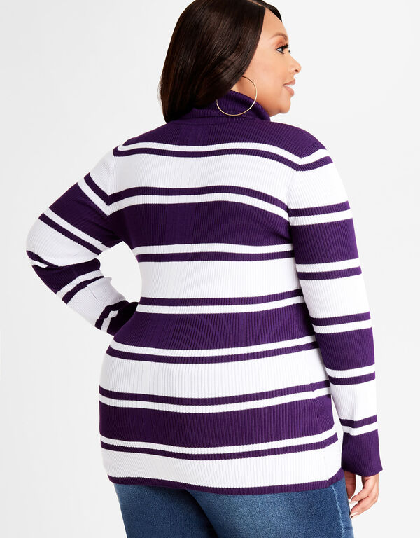 Stripe Rib Knit Turtleneck Sweater, Acai image number 1