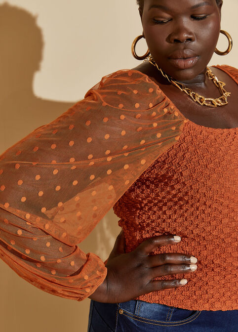 Dotted Mesh Paneled Textured Top, Rust image number 2