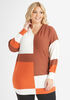 Colorblock Knitted Hooded Tunic, Multi image number 0