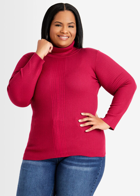 Plus Size Classic Stretch Ribbed Knit Fitted Turtleneck Sweater image number 0
