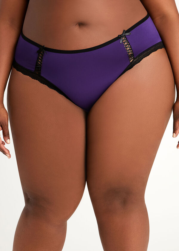 Microfiber & Lace Hipster Panty, Acai image number 0