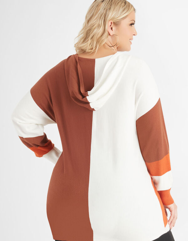 Colorblock Knitted Hooded Tunic, Multi image number 1