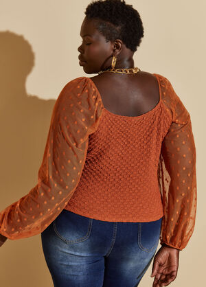 Dotted Mesh Paneled Textured Top, Rust image number 1