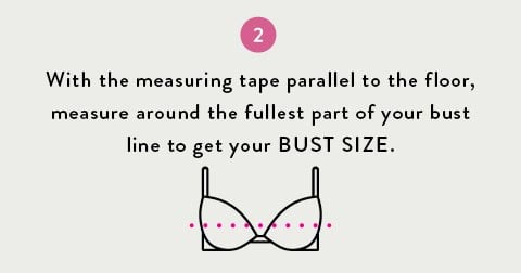 measure your bust size